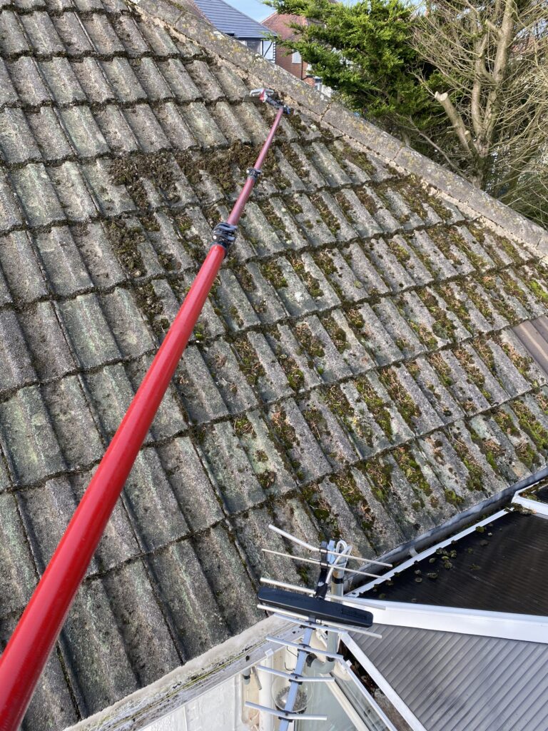 roof cleaning services