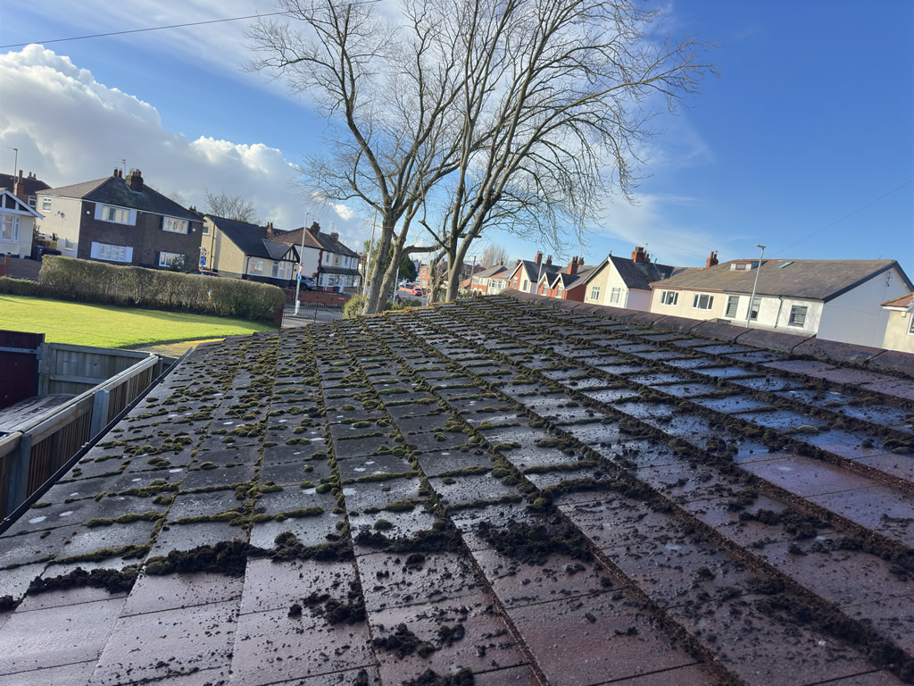 Roof Cleaning Fylde Coast